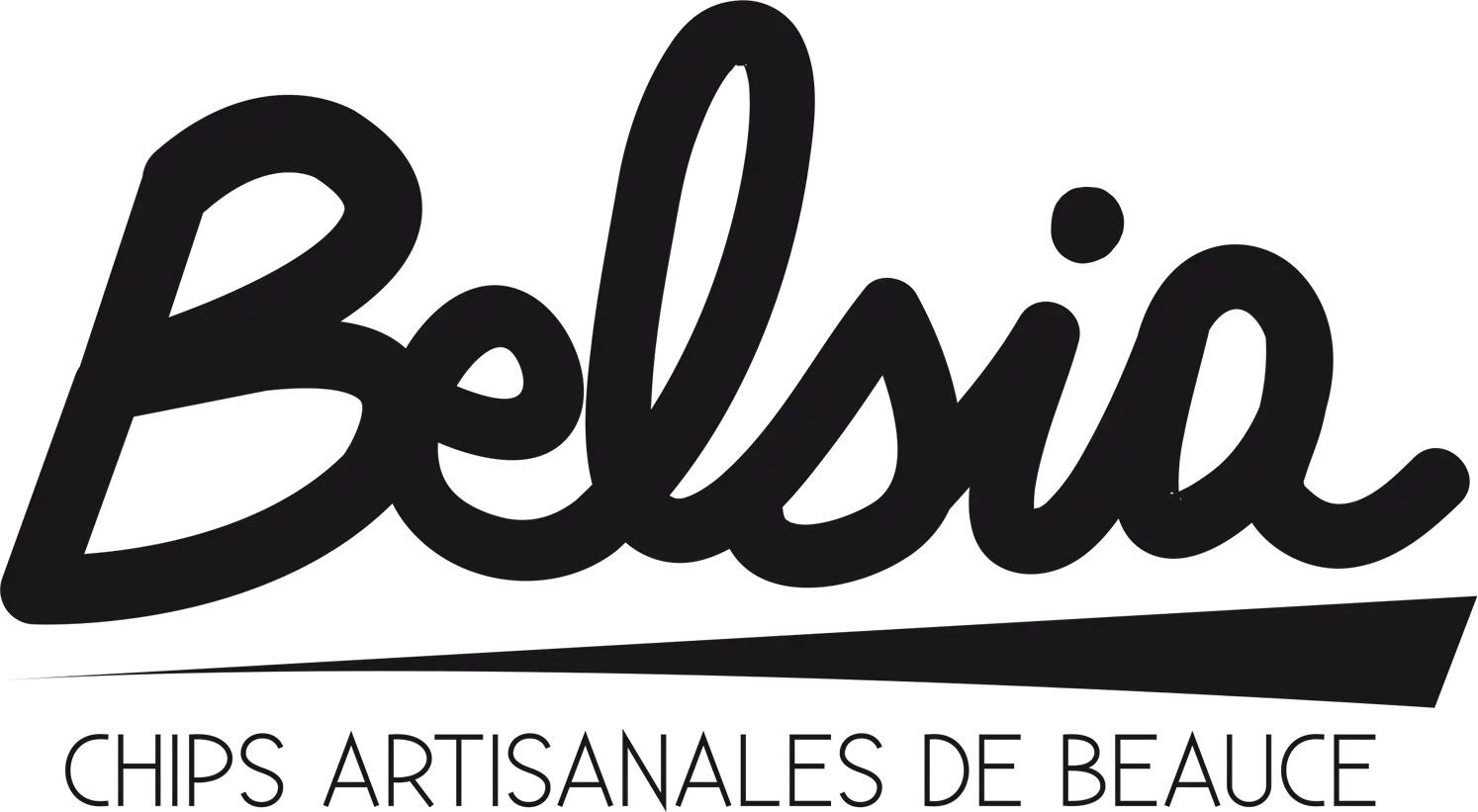 logo belsia